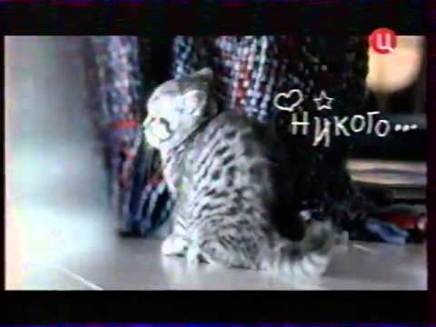 Видео: Анонсы и реклама (ТВ-Центр, 02.04.2008). 2