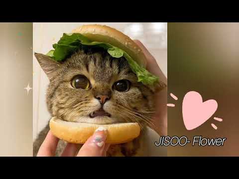 Видео: °[Playlist], но ты Сладкая Булочка~💗✨️