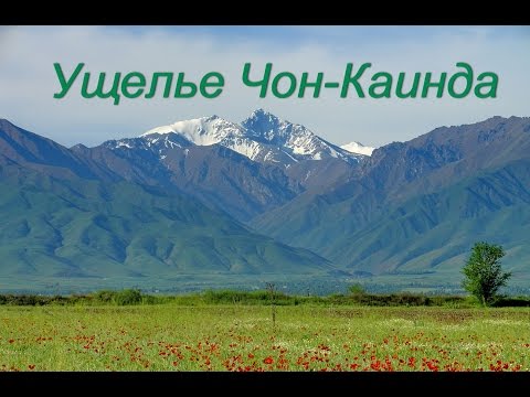 Видео: Ущелье Чон-Каинда (Эркин-Сай)