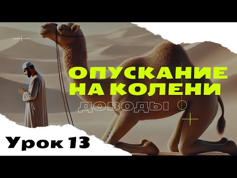 Видео: Опускание на колени. Как верблюд?