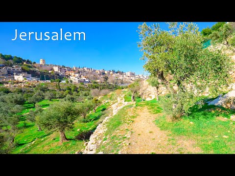 Видео: Иерусалим: Старый город, Елеонская гора, Цуримская долина, гора Скопус