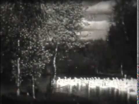 Видео: КАК ЭТО БЫЛО ❓ РАЗВЕДЕНИЕ И СОДЕРЖАНИЕ КУР В СССР - ТАКОГО МЫ БОЛЬШЕ НИКОГДА НЕ УВИДИМ ‼️