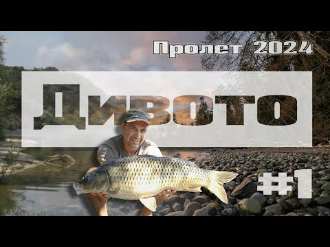 Видео: Риболов на шаран: Ранна пролет в гората (2024)