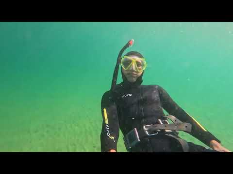 Видео: Морское приключение. Пьющий слоник. Часть 2