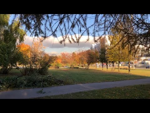 Видео: МОСКВА ТОЛЬКО ЧТО