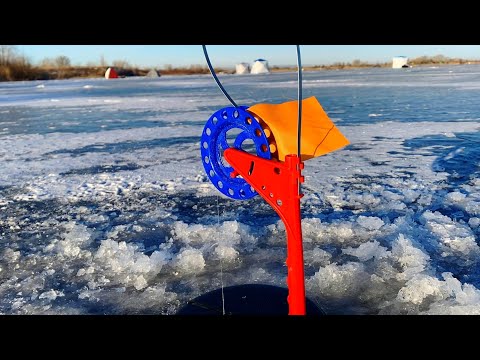 Видео: ЖЕРЛИЦЫ ЗДЕСЬ СНОВА РАБОТАЮТ!! Рыбалка на карьере.