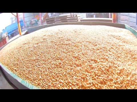 Видео: Зимнее хранение КУКУРУЗЫ!