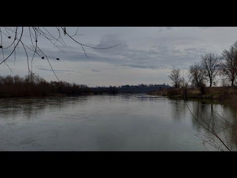 Видео: р. Дністер Риболовля на поплавок. ВІДКРИТТЯ!! Верхушка! 460шт