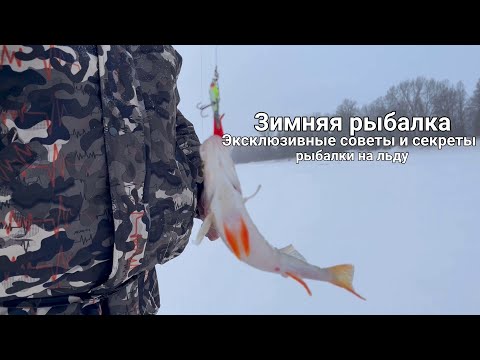 Видео: Хитрости зимней рыбалки.