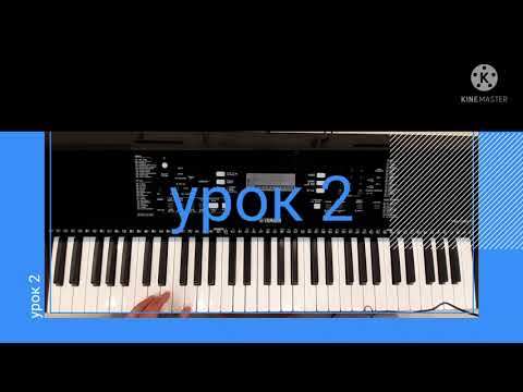 Видео: Как научиться играть на синтезаторе начинающему. Урок 2.