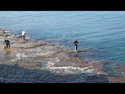 Видео: Каспийское море Ловля Кефали