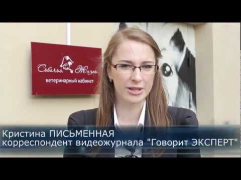 Видео: Вывоз животных за границу. Говорит ЭКСПЕРТ.