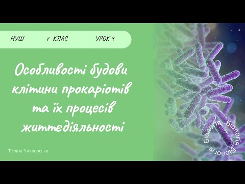 Видео: Особливості будови клітини прокаріотів та їх процесів життєдіяльності