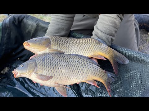 Видео: Открытие карпового сезона 2021! Распаковка обновок сезона. Озеро Михайлына.