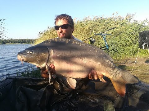 Видео: Ловля карпа летом на Марьевке. CARP PRO One 2019.  Часть 2.