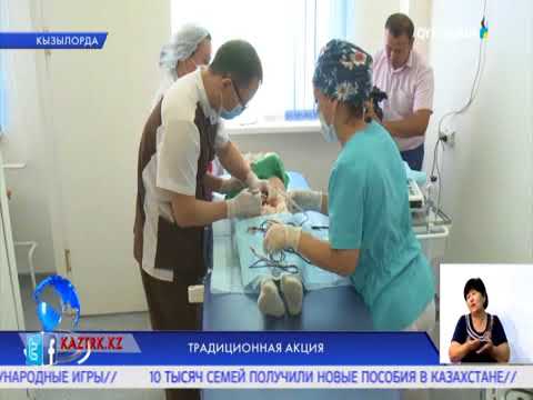 Видео: ТРАДИЦИОННАЯ АКЦИЯ