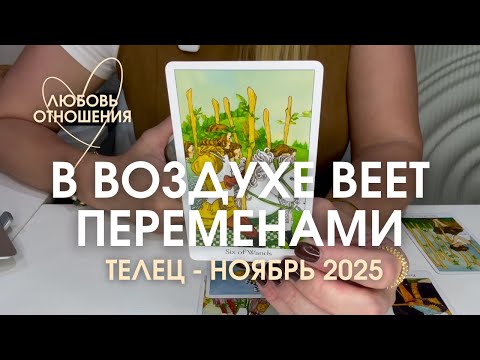 Видео: ТЕЛЕЦ Любовь/Отношения : В ВОЗДУХЕ ВЕЕТ ПЕРЕМЕНАМИ | Ноябрь 2025 таро прогноз