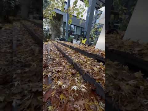 Видео: РЕАЛЬНОСТЬ vs РЕАЛЬНОСТЬ