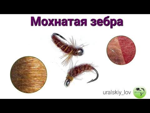Видео: Мушка-Мохнатая зебра с Разноцветными Волокнами!!!