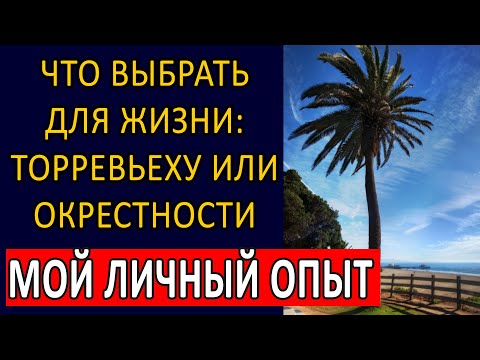 Видео: Что выбрать для жизни: Торревьеха или окрестности. Мой личный опыт. #испания #торревьеха