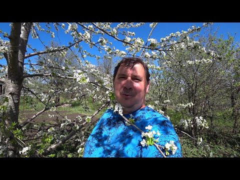 Видео: ИНДОУТКИ НА ВЕРТЕЛЕ И КАЗАН КЕБАБ ИЗ ЯГНЕНКА НА ВИШНЕВЫХ ДРОВАХ