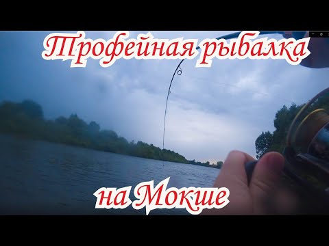 Видео: Трофейная рыбалка на Мокше