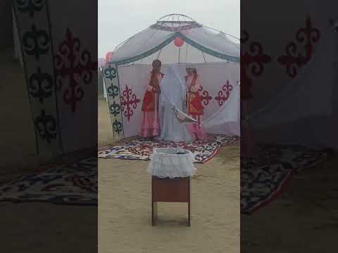 Видео: Беташар суткент
