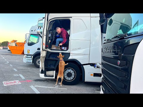 Видео: Дальнобой 2023. Рейс Дания - Испания. Работа в парном экипаже на VOLVO FH 500. Будни Дальнобойщика.