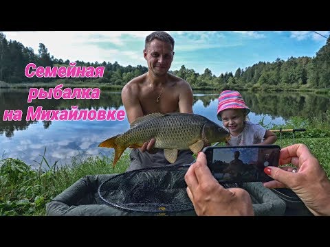 Видео: Семейный флэт-фидер на Михайловке. Ловля карпа
