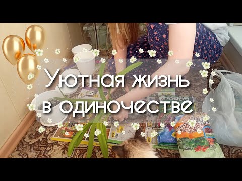 Видео: Уютная рутина простого офисного работника / Silent vlog