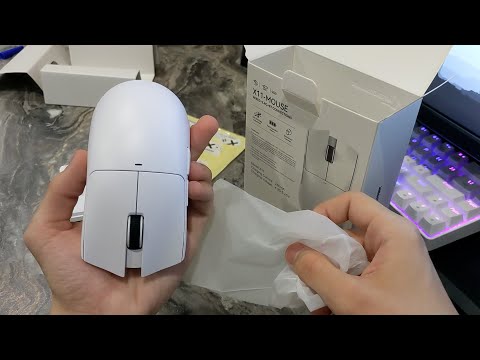 Видео: Обзор на игровую мышь Attack Shark X11. Лучшая игровая мышка за 2000 руб