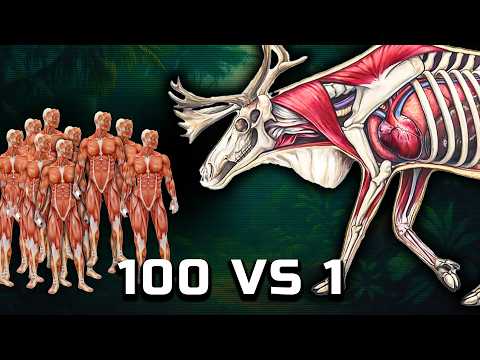 Видео: 100 ЧЕЛОВЕК ПРОТИВ ЛОСЯ💥 Кто победит в этой БИТВЕ?!
