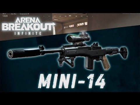 Видео: ОБЗОР MiNi-14. СПАМ - МАШИНА! Arena Breakout: Infinite