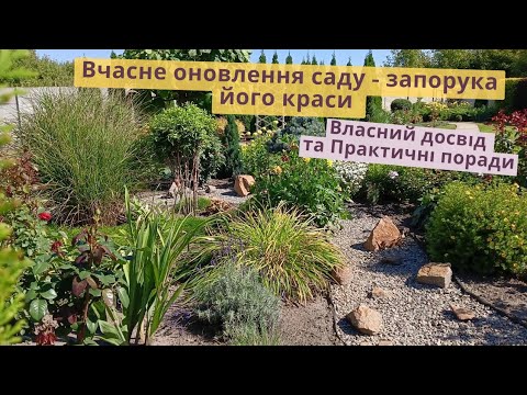 Видео: Поговоримо про Посадки/пересадки в осінній період🍁. З чого почати, а що залишити на потім🌿