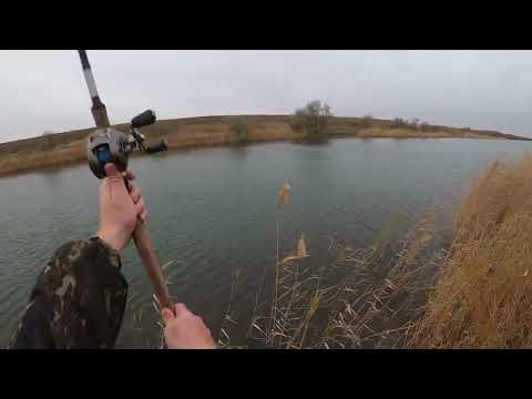 Видео: Рыбалка в Караганде 29 канал 07.10.2020