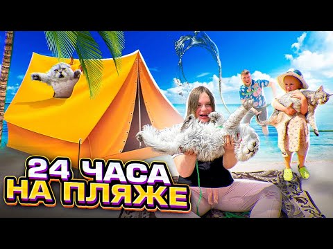 Видео: 24 ЧАСА НА ОЗЕРЕ С КОТАМИ | КЕВИН И СЛАДУН НА ПЛЯЖЕ! С котом вход разрешён