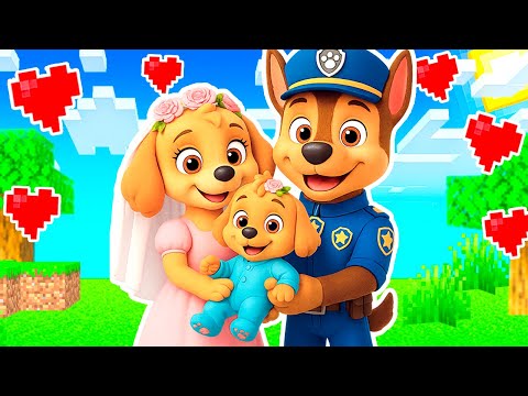 Видео: РОДИЛСЯ РЕБЁНОК у СКАЙ и ГОНЩИКА ЩЕНЯЧИЙ ПАТРУЛЬ в МАЙНКРАФТ PAW PATROL МУЛЬТИК