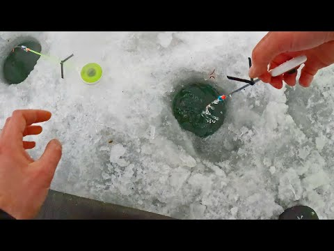 Видео: Загнул кивок и тащит УДОЧКУ В ЛУНКУ! Попал на жор крупняка! Зимняя рыбалка 24 25