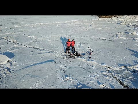 Видео: Garmin Panoptix Livescope и Ps22: плюсы и минусы применительно к зимней рыбалке