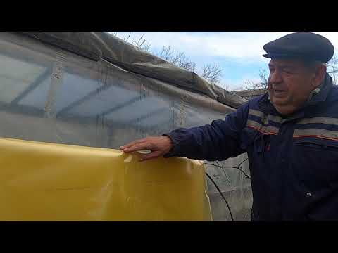 Видео: Плівка для теплиці. Яка краща.  З власного досвіду.