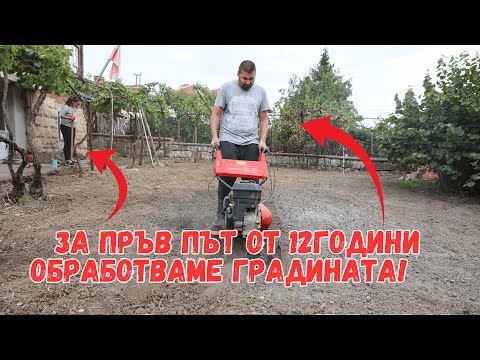 Видео: ЖИВОТ НА СЕЛО: Подготовка за парник | Цветна градина | Разбихме хамбара и кокошарника.