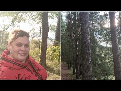 Видео: Природа/ Лес/ Тишина и благодать/ Гуляем с мужем) Купили вкусную рыбу) Плов)
