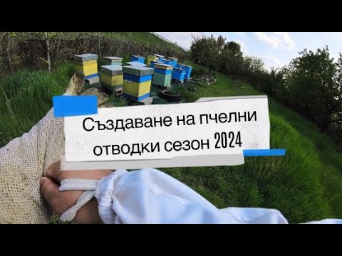 Видео: Създаване на отводки Април 2024