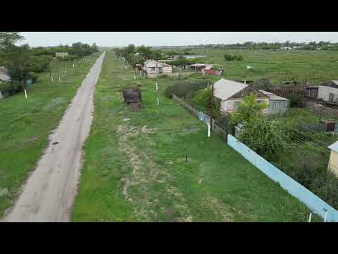 Видео: Чеховка,2023 г.