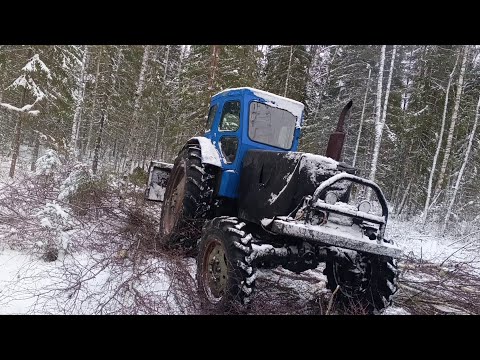 Видео: Заехал в делянку.