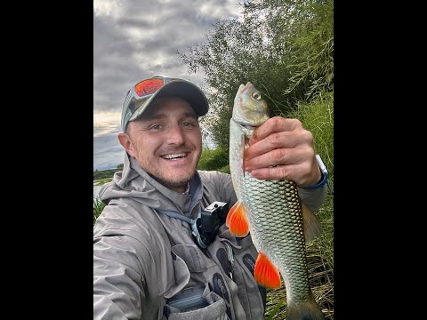 Видео: Голавлиное эльдорадо!