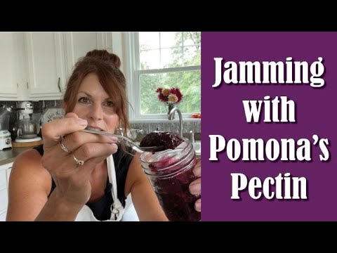Видео: Варенье из бузины, подслащенное медом
