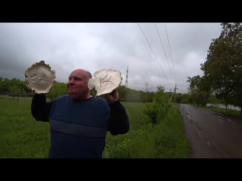 Видео: ВОТ ЭТО МЫ ГРИБОВ НАБРАЛИ в нашей СТЕПИ/Нажарила ГРИБЫ с КАРТОШКОЙ /НАЕЛИСЬ от ДУШИ еще и ЗАМОРОЗИЛА
