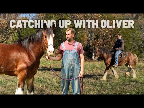 Видео: Встреча с Оливером | Снова в седле с моим спасенным клейдесдалем!