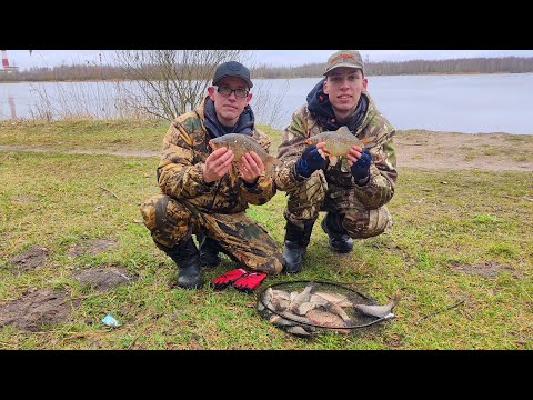 Видео: Ловля весеннего карася.Фидер